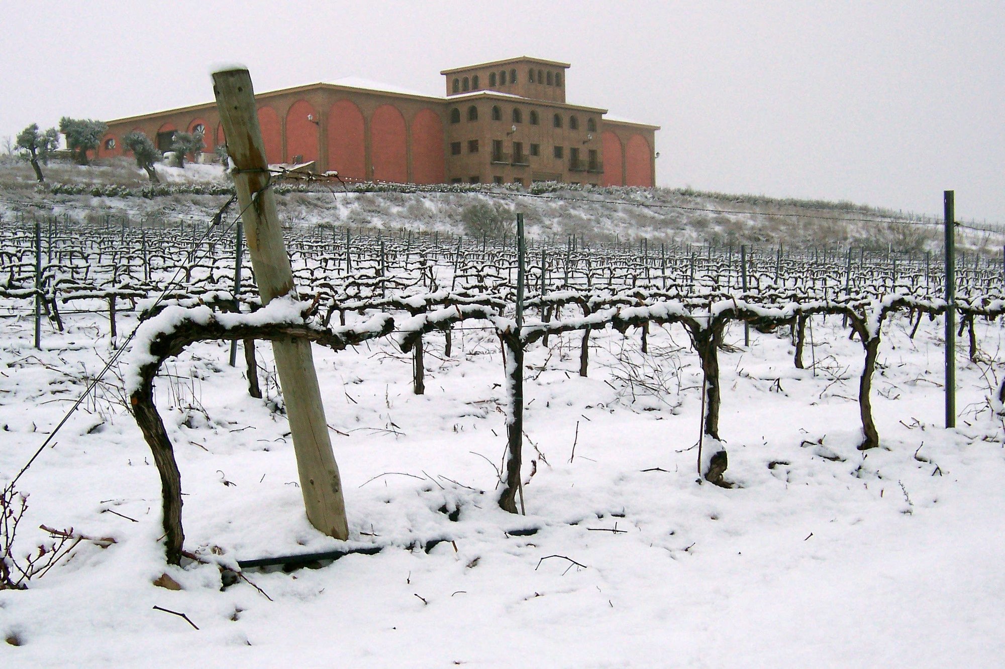 Bodega Pago Aylés, Mezalocha, Spain
