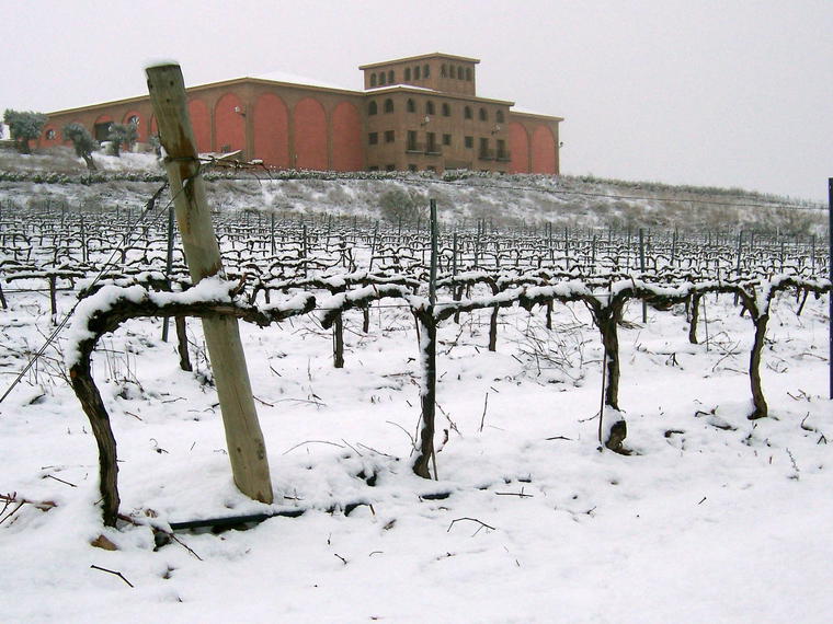 Bodega Pago Aylés, Mezalocha, Spain