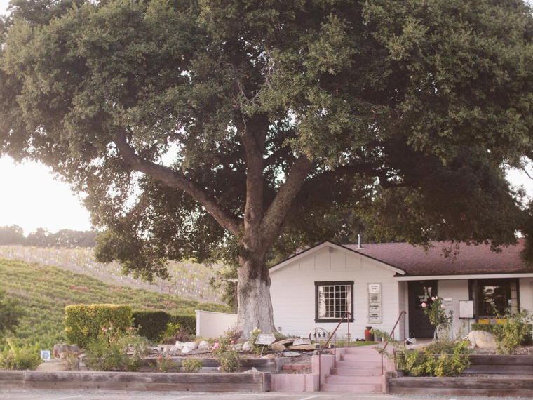 Barton Family Wines and Grey Wolf Cellars, Paso Robles, United States
