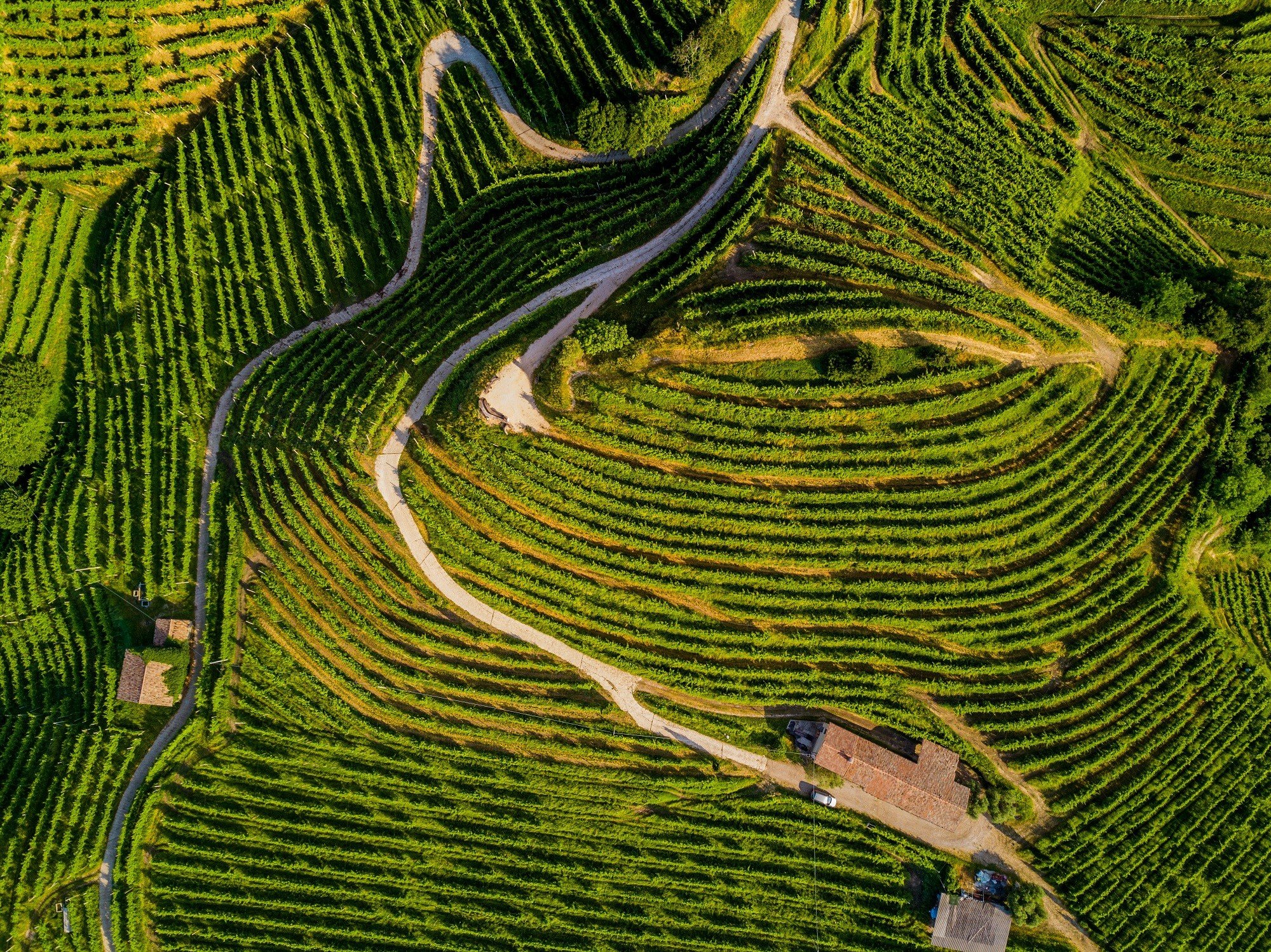 Astoria Wines, Winery in Crocetta Del Montello