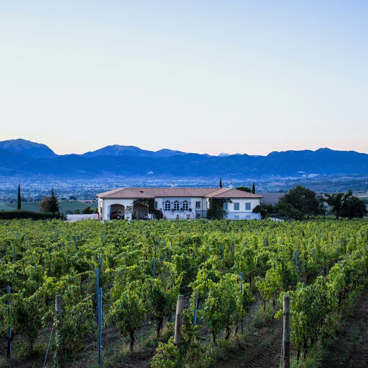 Tenuta Brancalupo winery in Montefalco, Italy