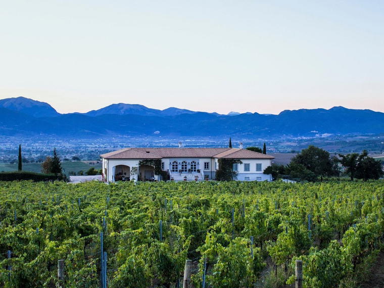 Tenuta Brancalupo, Montefalco, Italy