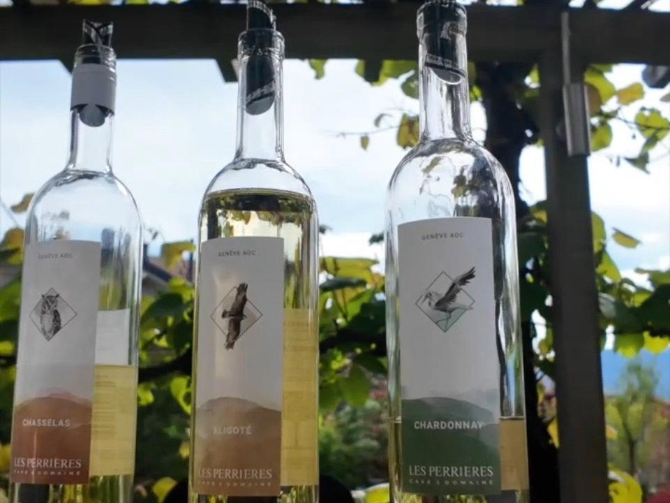 Cave & Domaine Les Perrières winery in Satigny