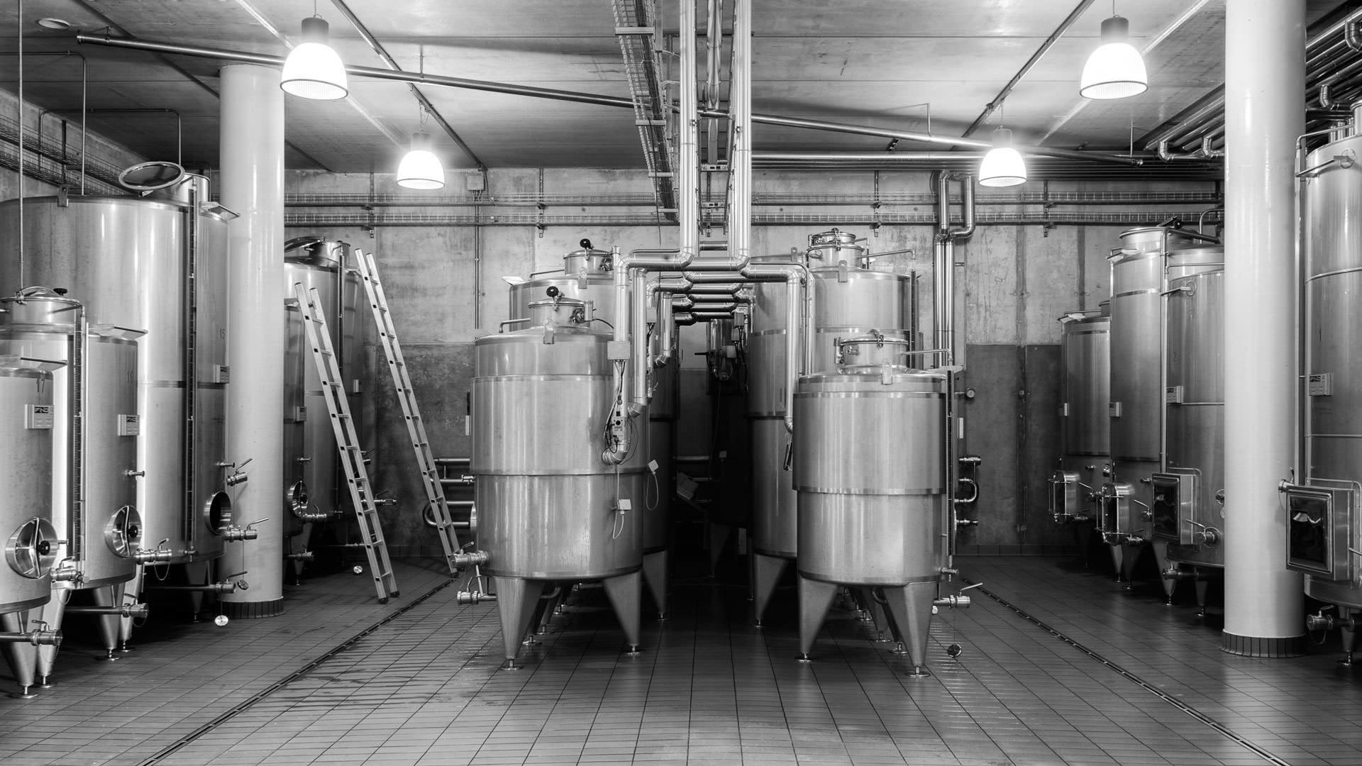 Poderi Mattioli winery in Serra De Conti, Italy
