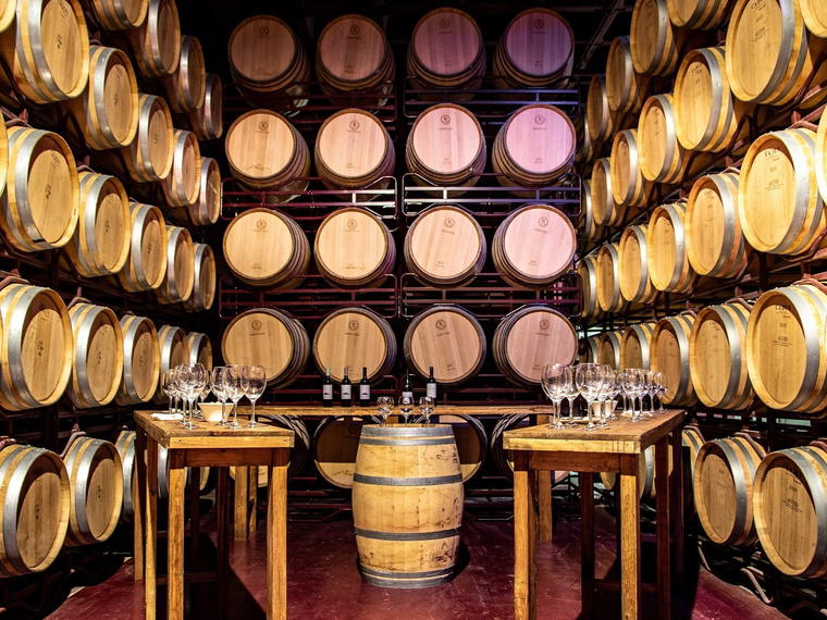 Bodegas Viña Mayor, Quintanilla de Onésimo, Spain