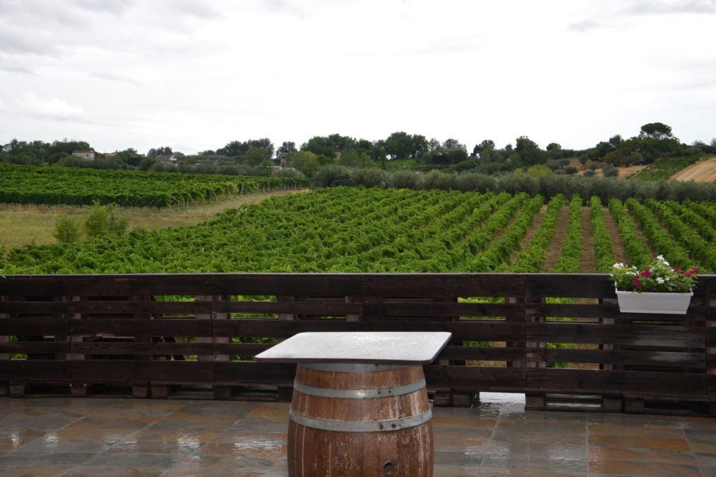 Chiusa Grande, Winery in Nocciano