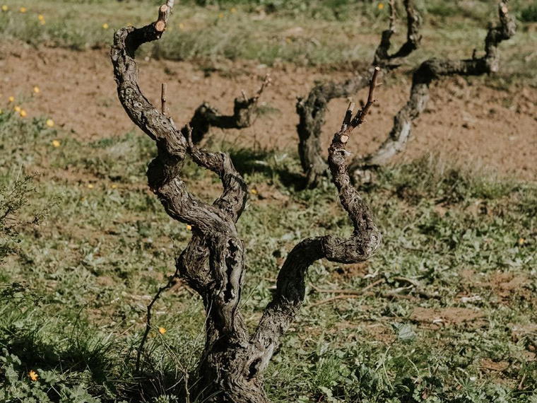 Agricola Marilù, Brindisi, Italy