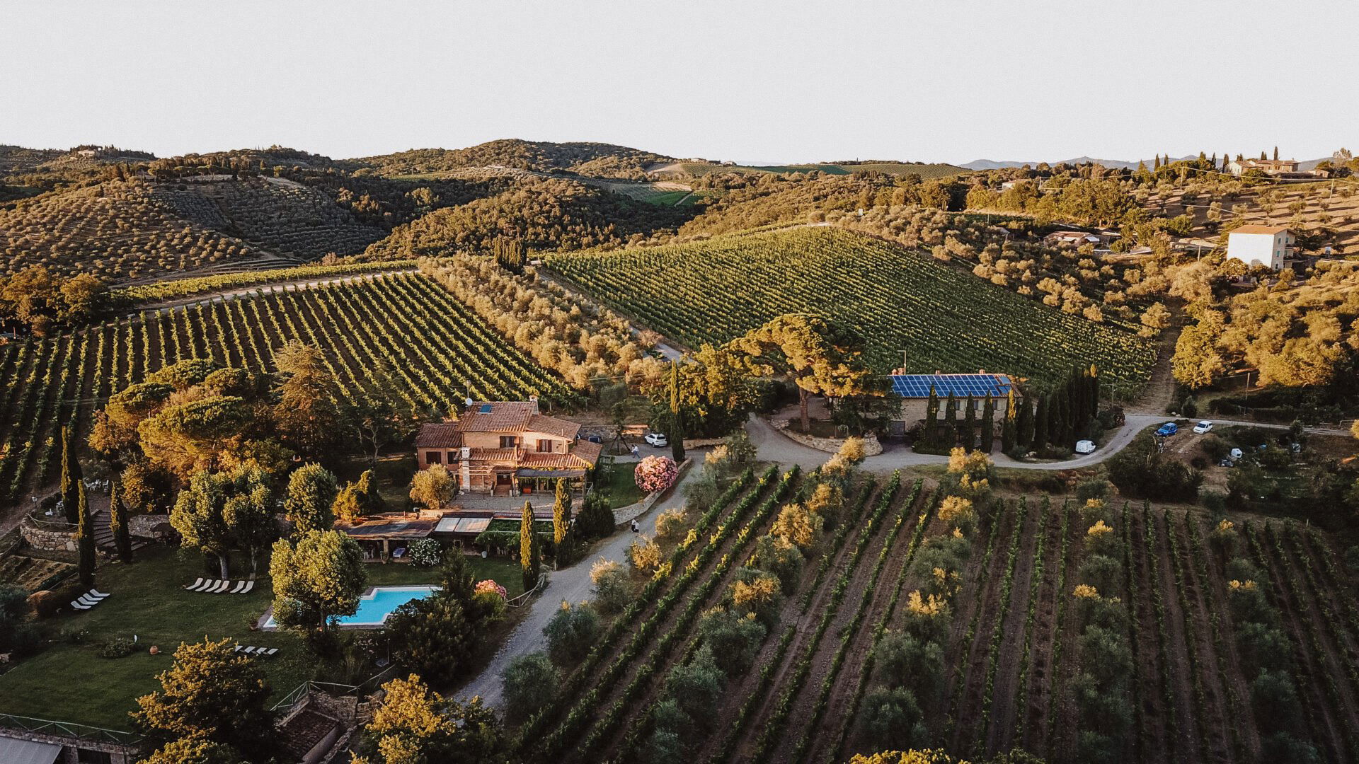 Fattoria di Corsignano, Winery in Castelnuovo Berardenga