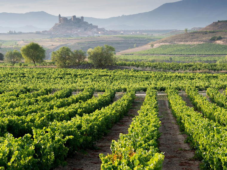 Bodegas Riovinsa, La Rioja, Spain