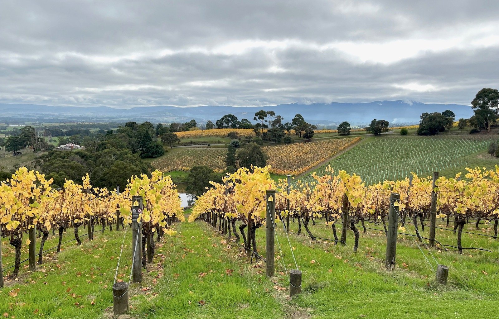 Bell Hill Vineyard, Waikari, New Zealand