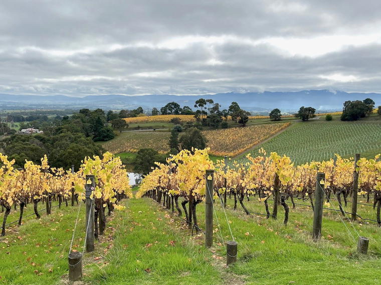 Bell Hill Vineyard, Waikari, New Zealand