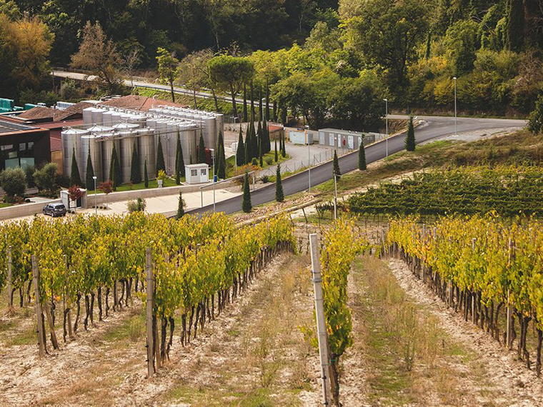 Barbanera, Cetona, Italy
