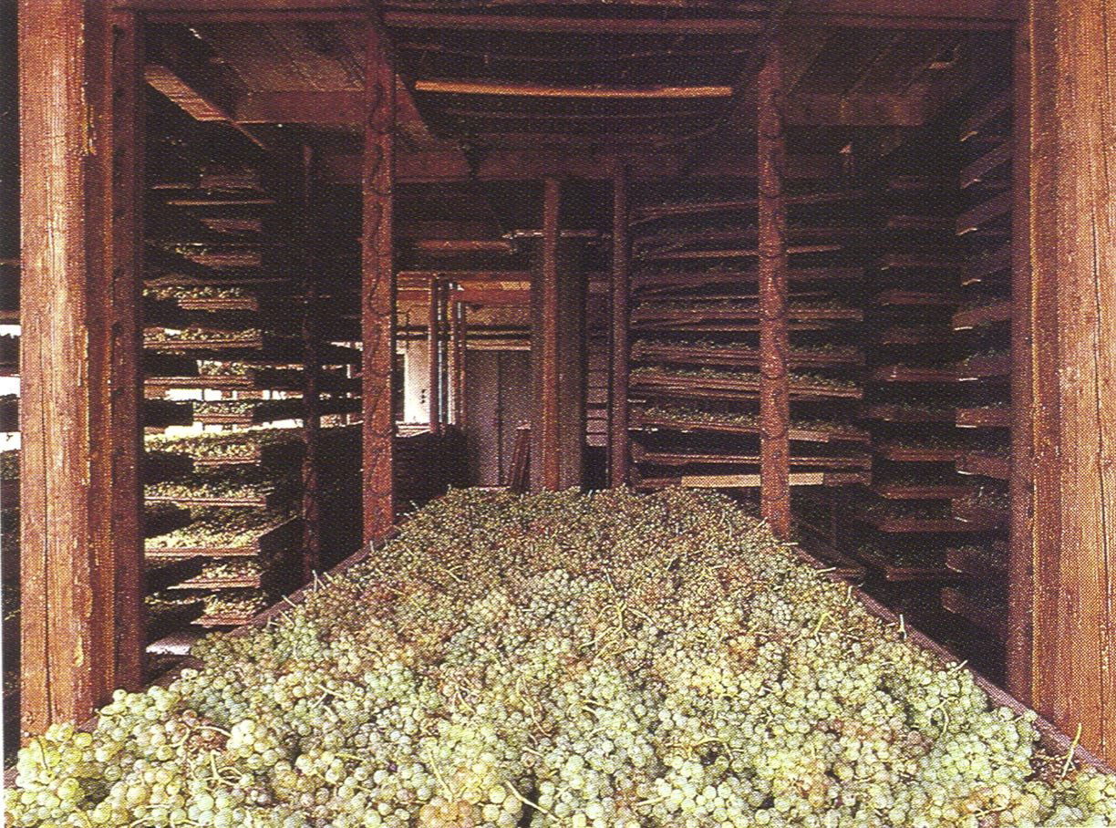 Anselmi, Winery in Monteforte d'Alpone