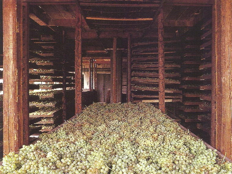 Anselmi, Monteforte d'Alpone, Italy