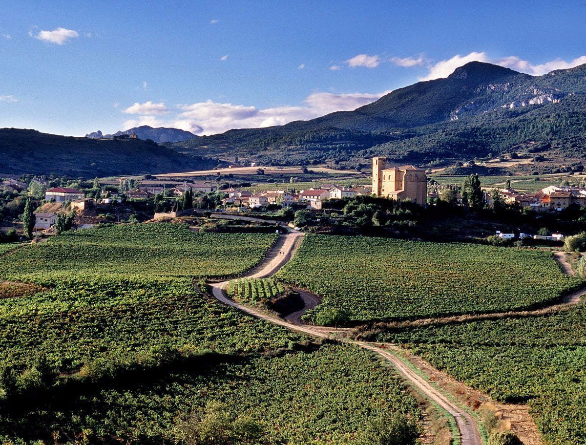 Bodegas Remírez de Ganuza, Winery in Samaniego Alava
