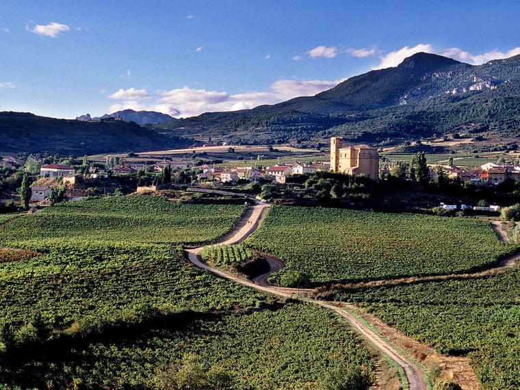 Bodegas Remírez de Ganuza, Samaniego Alava, Spain