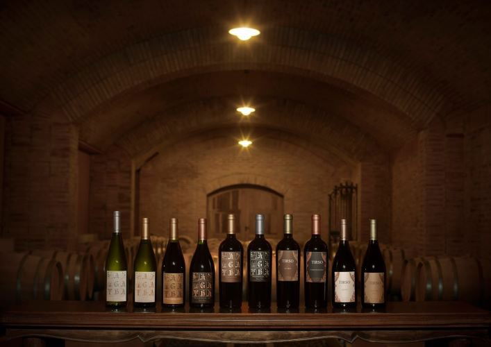 Viña Alicia, Winery in Luján de Cuyo