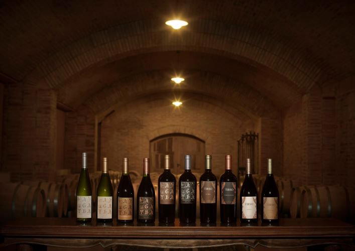Viña Alicia winery in Luján de Cuyo, Argentina