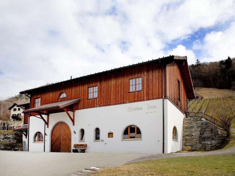 Joos Weinbau, Trimmis, Switzerland