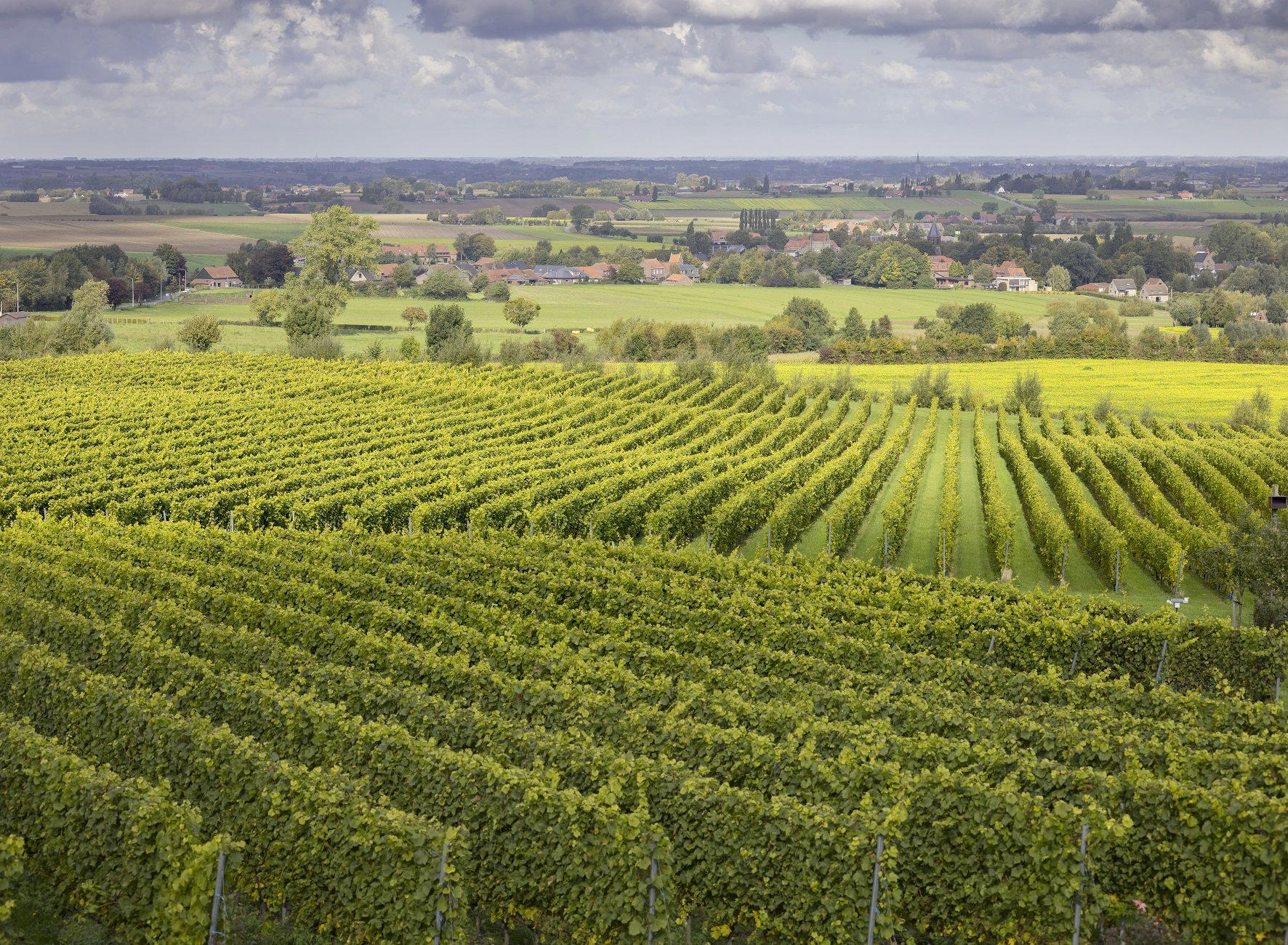Entre-Deux-Monts winery in Heuvelland