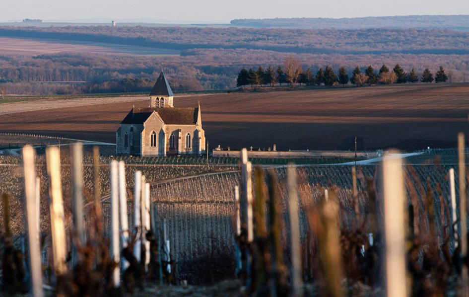 Domaine Pattes Loup winery in Courgis