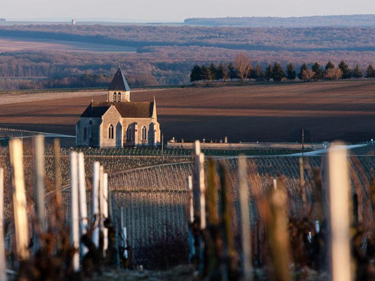 Domaine Pattes Loup, Courgis, France