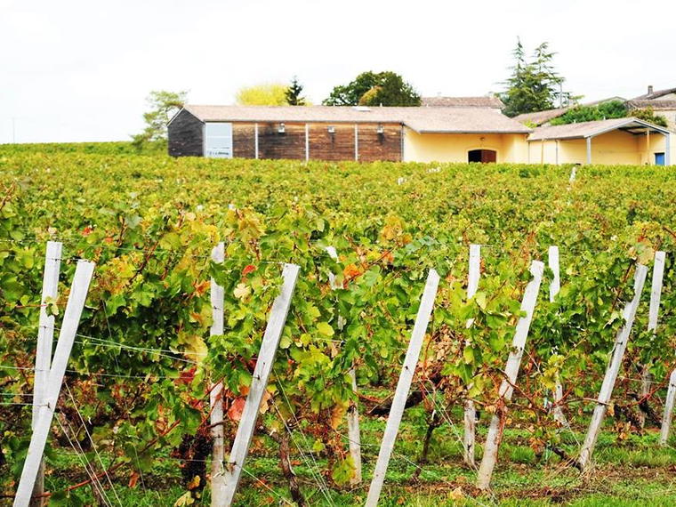 Château Clos de Boüard, Montagne, France