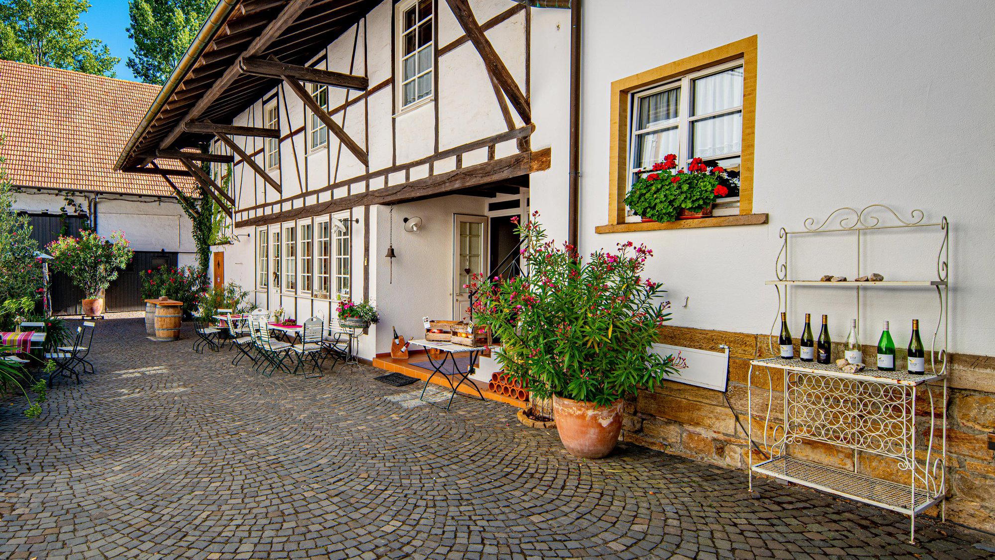 Weingut Rinck-Wüst winery in Heuchelheim Klingen