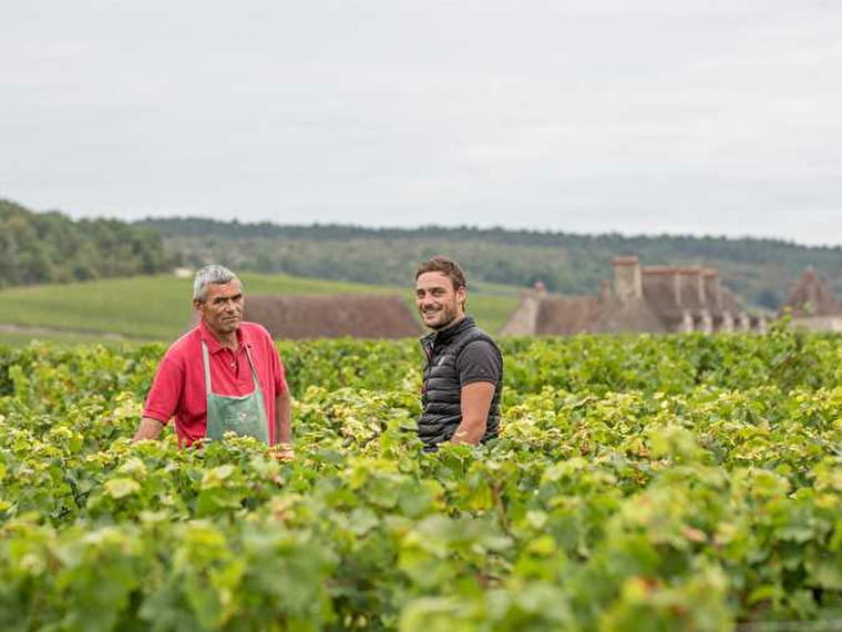 Yvon Clerget, Pommard, France