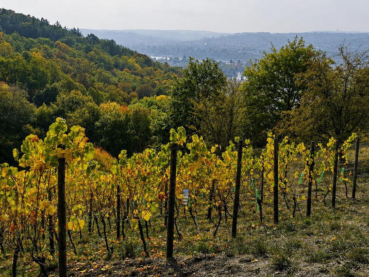 Kay Weine, Königswinter, Germany