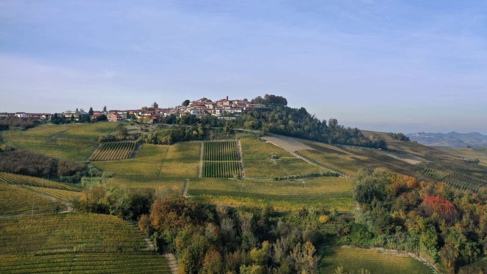 Alessandria Fratelli, Verduno, Italy