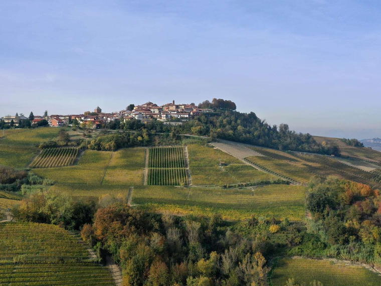 Alessandria Fratelli, Verduno, Italy