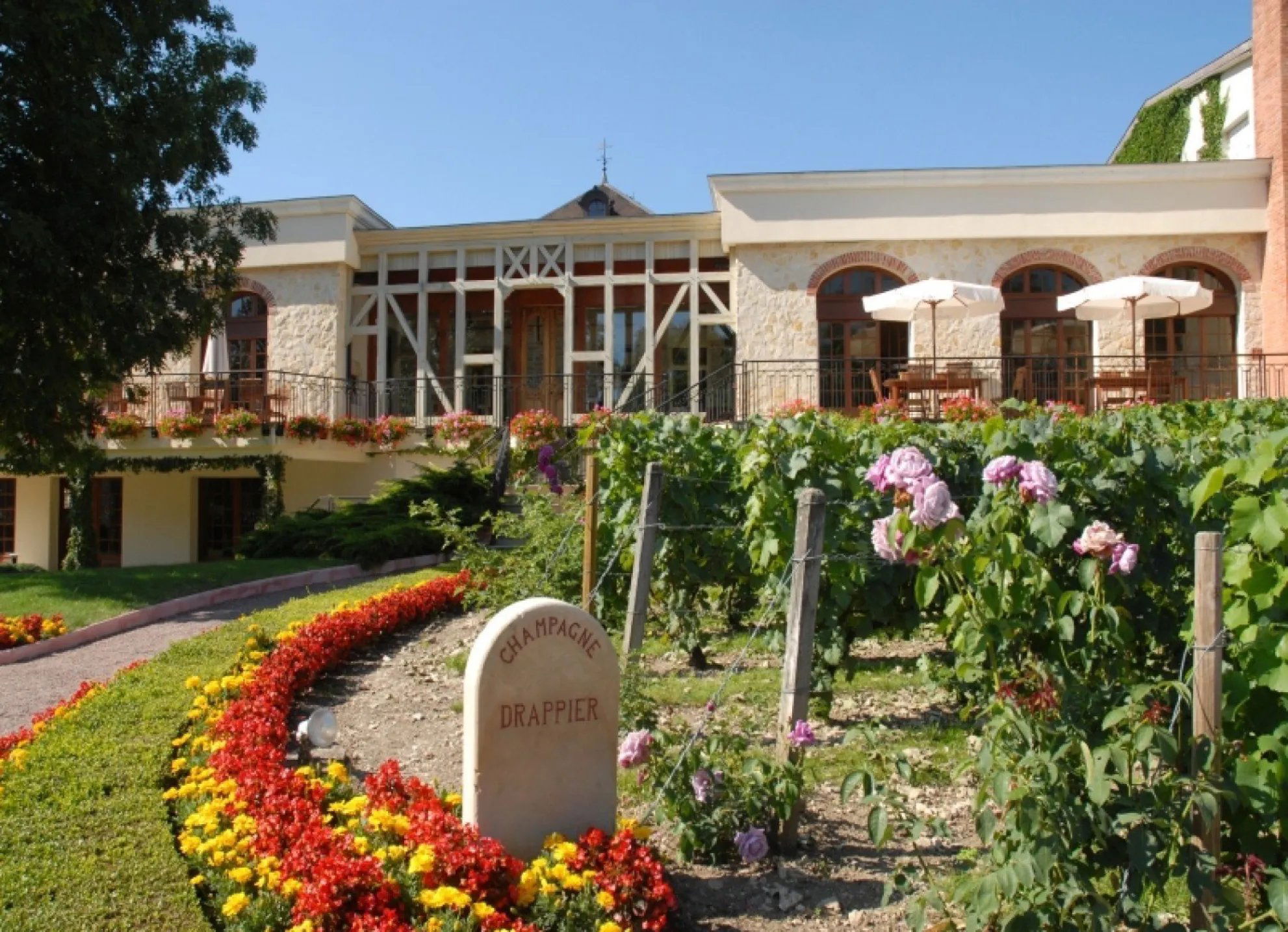 Champagne Drappier, Winery in Urville