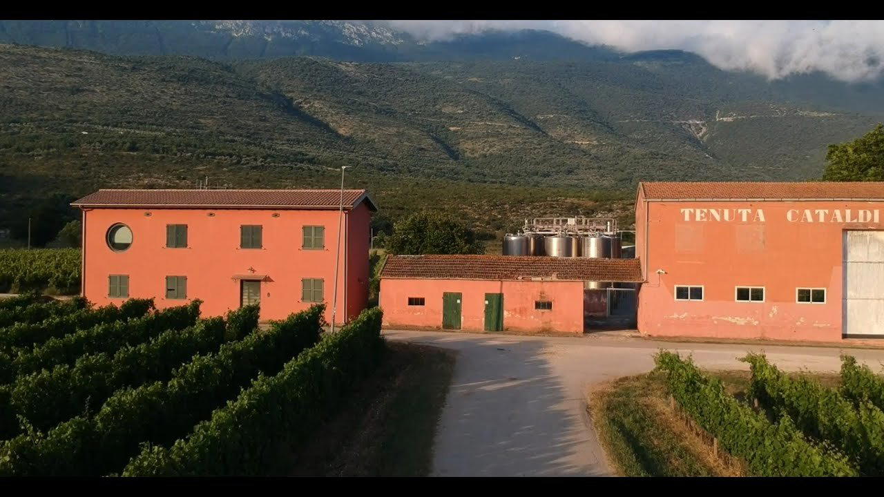 Cataldi Madonna winery in Ofena