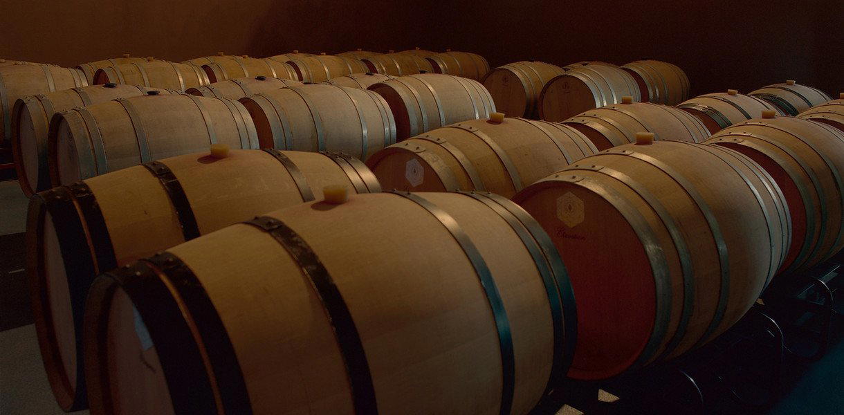 Pago de Ina winery in Olivares De Duero
