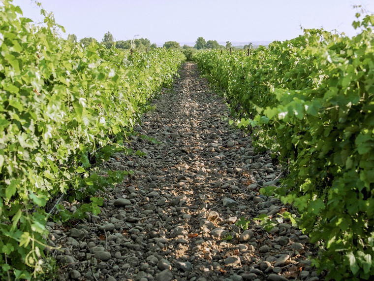 Cayuse Vineyards, Walla Walla, United States