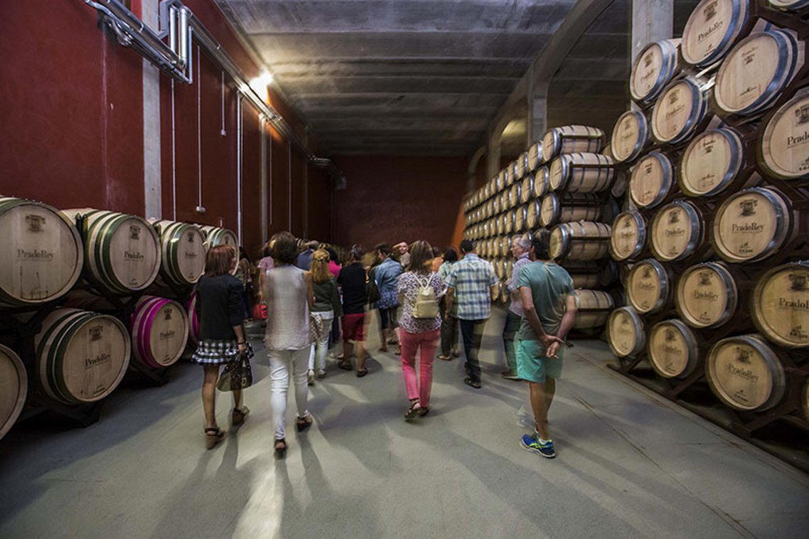 Pradorey winery in Gumiel De Mercado