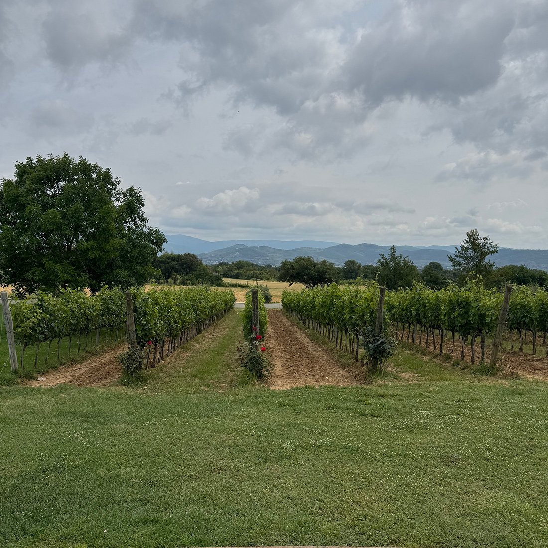 Baldetti, Cortona, Italy