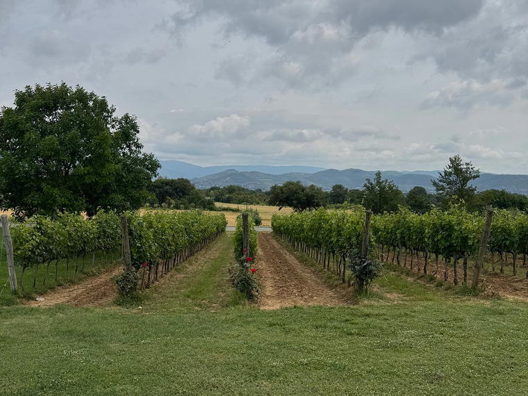 Baldetti, Cortona, Italy
