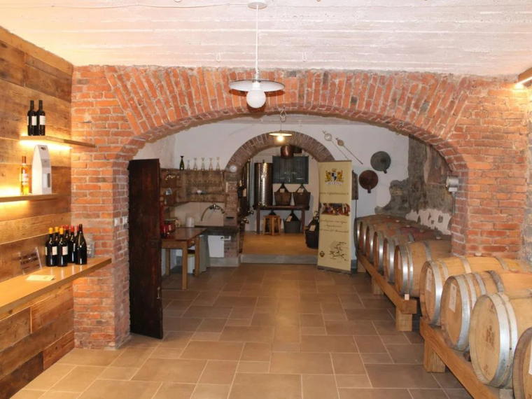 Cantina Modeano, Palazzolo Dello Stella, Italy