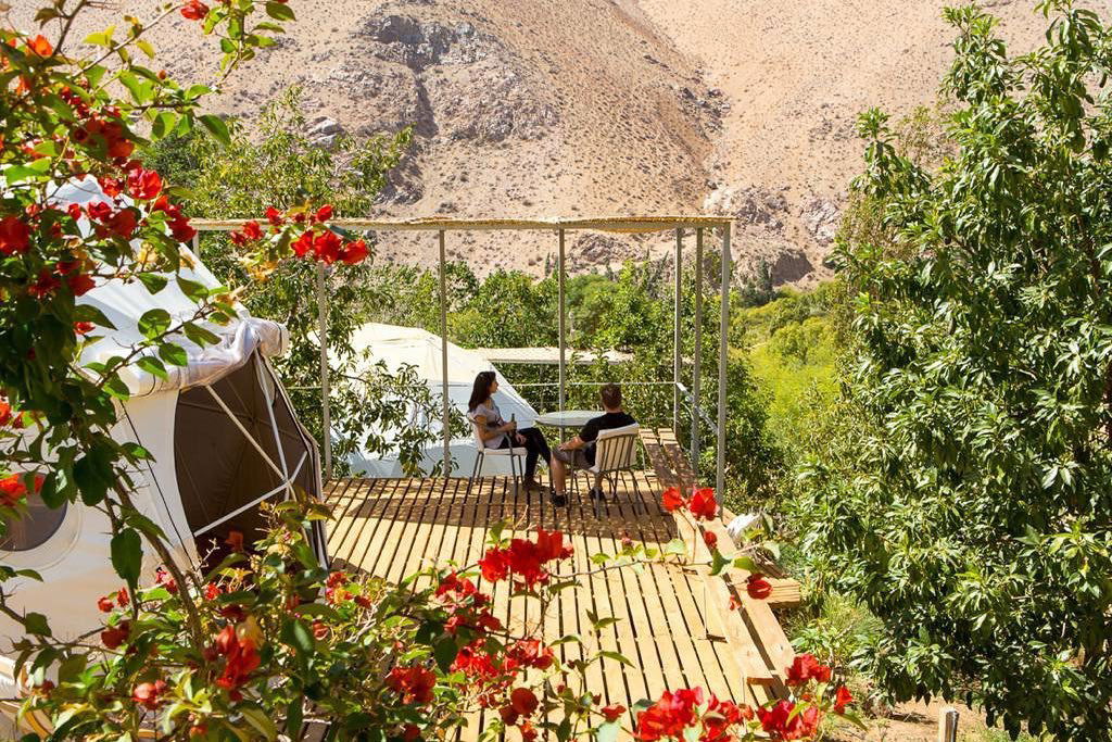 Viñedos de Alcohuaz winery in Elqui Valley, Chile