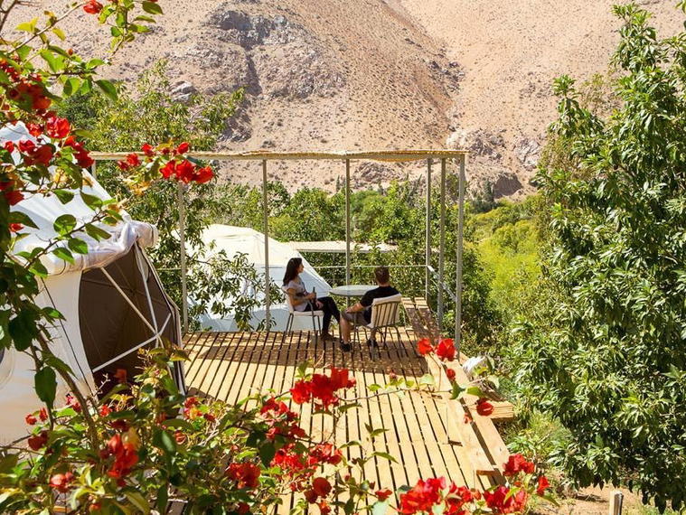 Viñedos de Alcohuaz, Elqui Valley, Chile