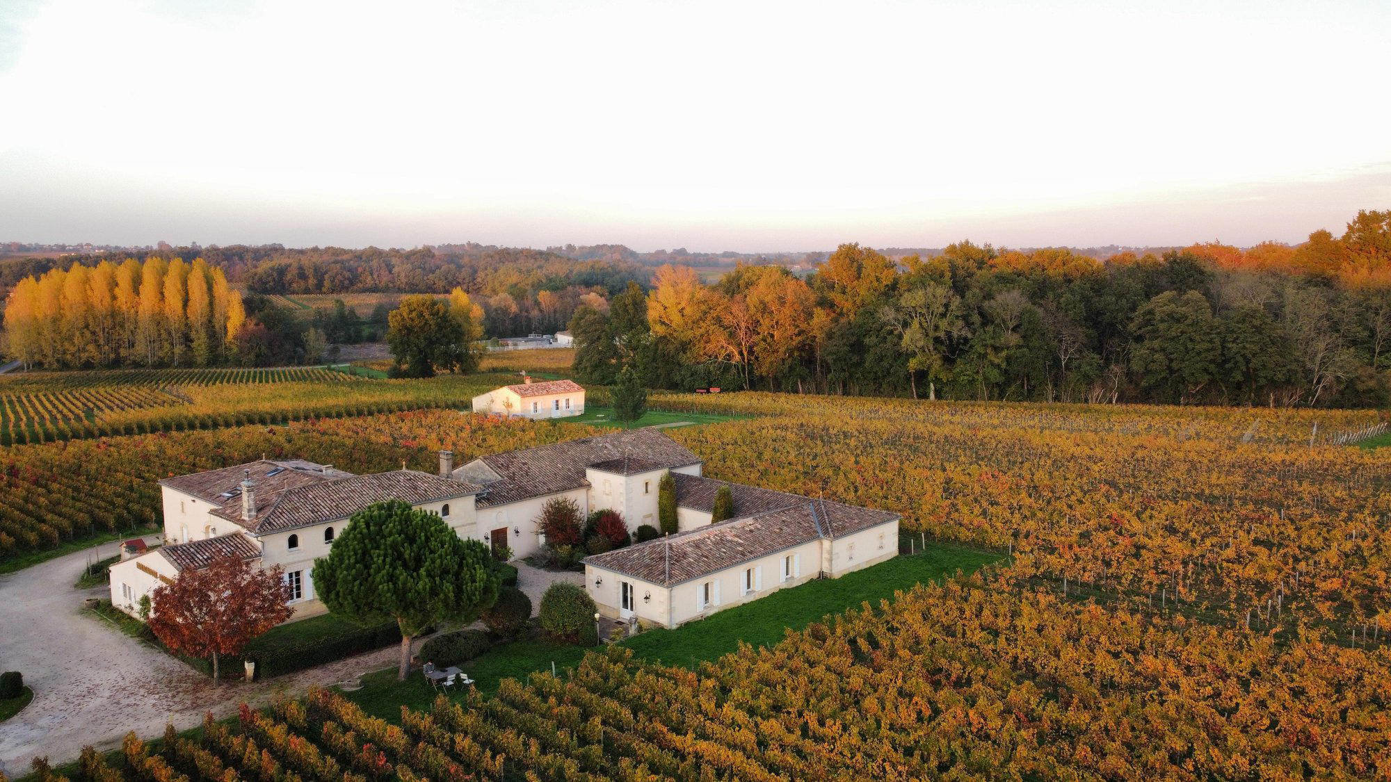 Château Laplagnotte-Bellevue, Saint-Christophe-des-Bardes, France