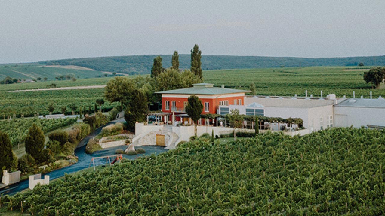 Weingut K+K Kirnbauer winery in Deutschkreutz, Austria