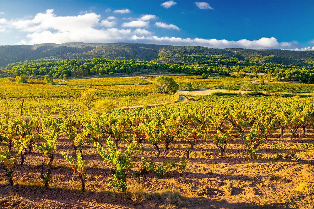 Domaine Py winery in Douzens