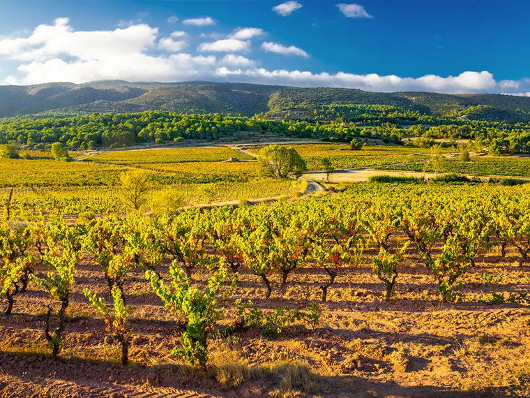 Domaine Py, Douzens, France