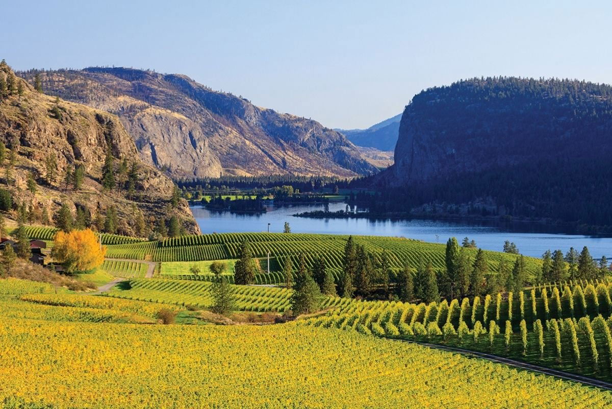 Blue Mountain Vineyard, Winery in Okanagan Falls