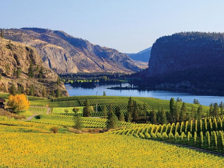 Blue Mountain Vineyard, Okanagan Falls, Canada