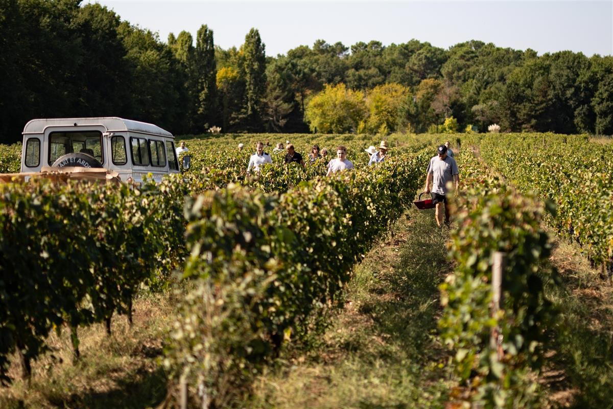 Château Lusseau winery in Ayguemorte Les Graves, France