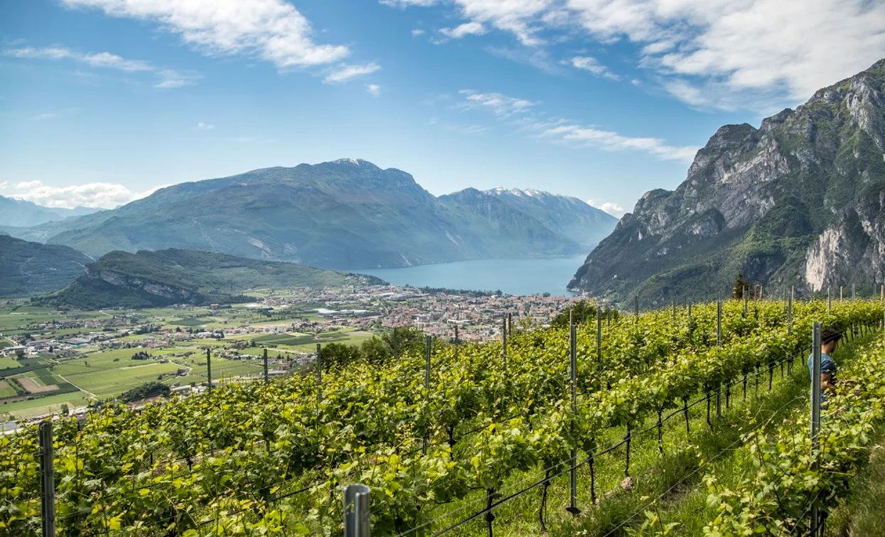Cantina Furletti, Winery in Riva del Garda